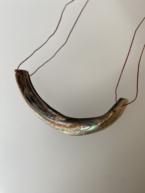 Abalone hanger - Afbeelding 3